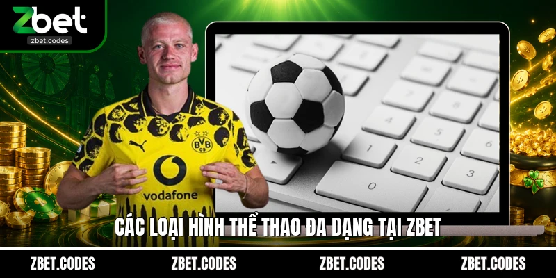 Các loại hình thể thao đa dạng tại ZBET