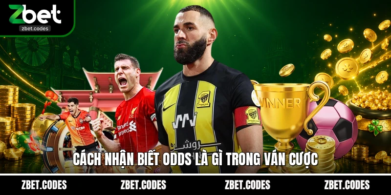 Cách nhận biết Odds là gì trong ván cược