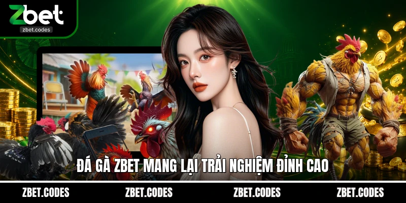 Đá gà ZBET mang lại trải nghiệm đỉnh cao