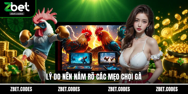 Lý do nên nắm rõ các mẹo chọi gà