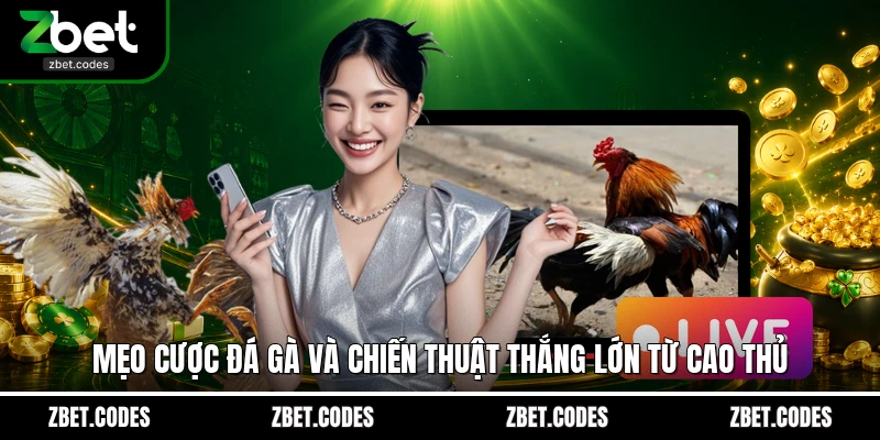 Mẹo Cược Đá Gà