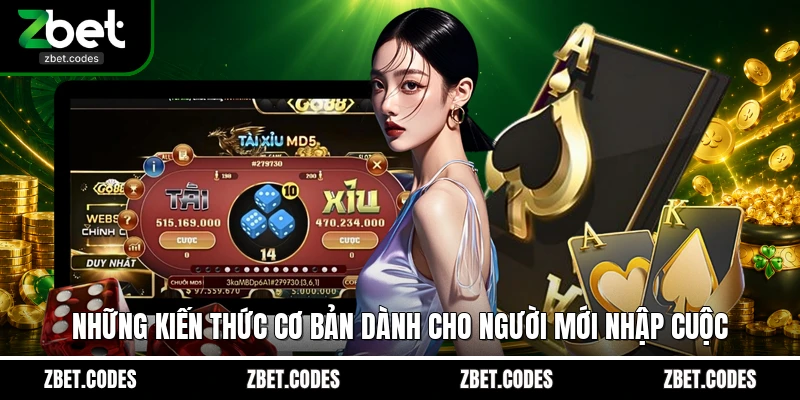 Những kiến thức cơ bản dành cho người mới nhập cuộc
