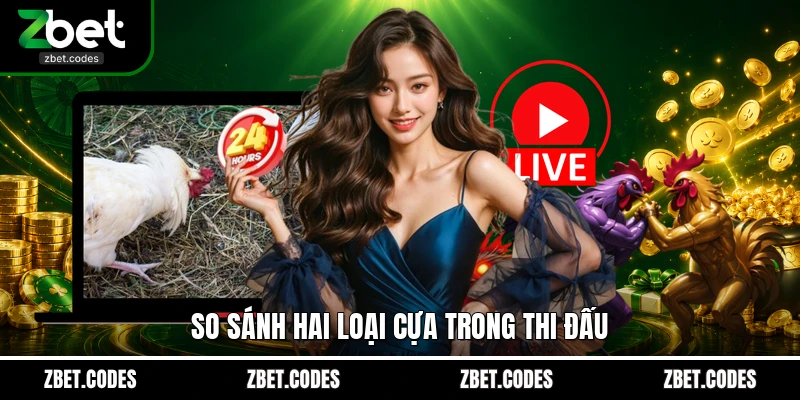 So sánh hai loại cựa trong thi đấu