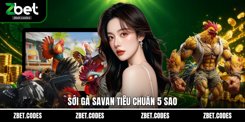 Sới gà Savan tiêu chuẩn 5 sao