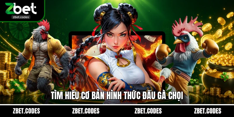 Tìm hiểu cơ bản hình thức đấu gà chọi