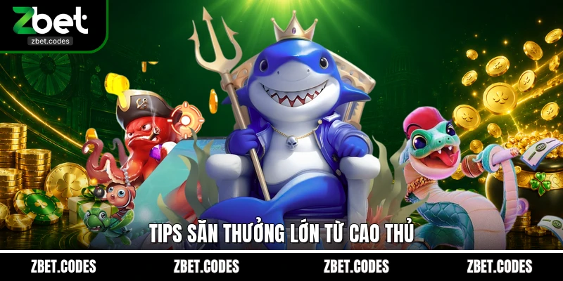Tips săn thưởng lớn từ cao thủ