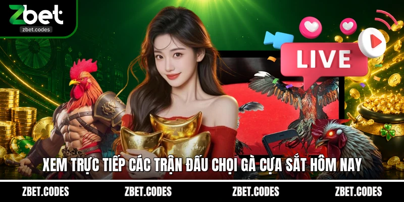 Xem trực tiếp các trận đấu chọi gà cựa sắt hôm nay